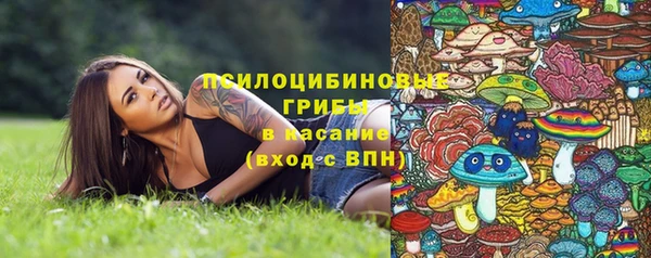 марки lsd Горняк