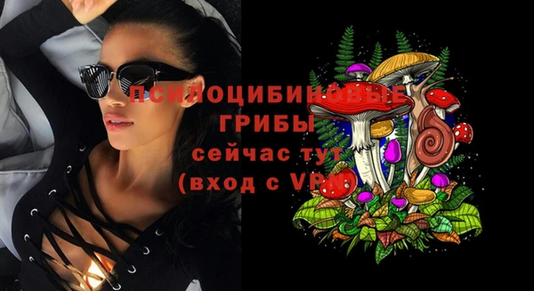 марки lsd Горняк